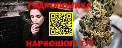дмт Ставрополь