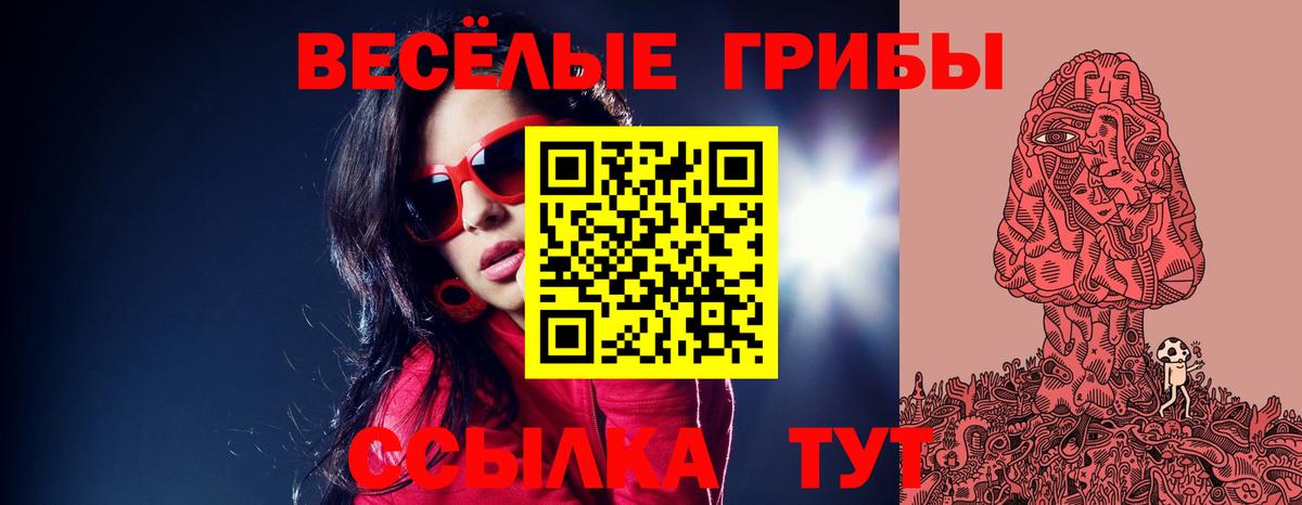 Галлюциногенные грибы прущие грибы  Вход с VPN  Новошахтинск 