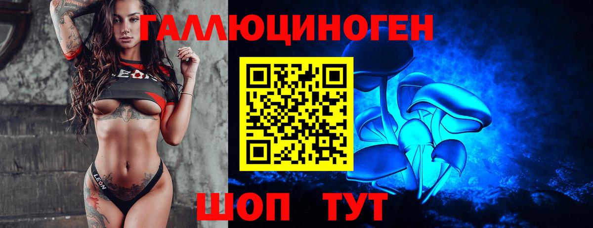Галлюциногенные грибы Psilocybe Новошахтинск