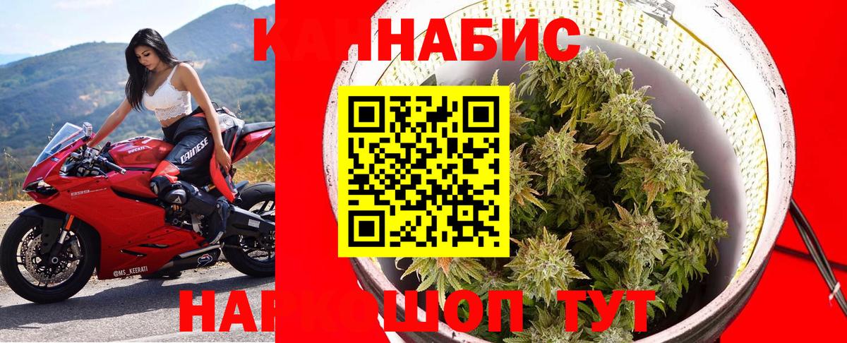 Бошки марихуана конопля Новошахтинск